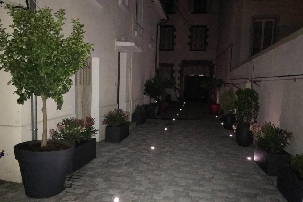 Rare Petit Cocon F1 Calme Possibilité Jacuzzi Hammam En Sus Appartement